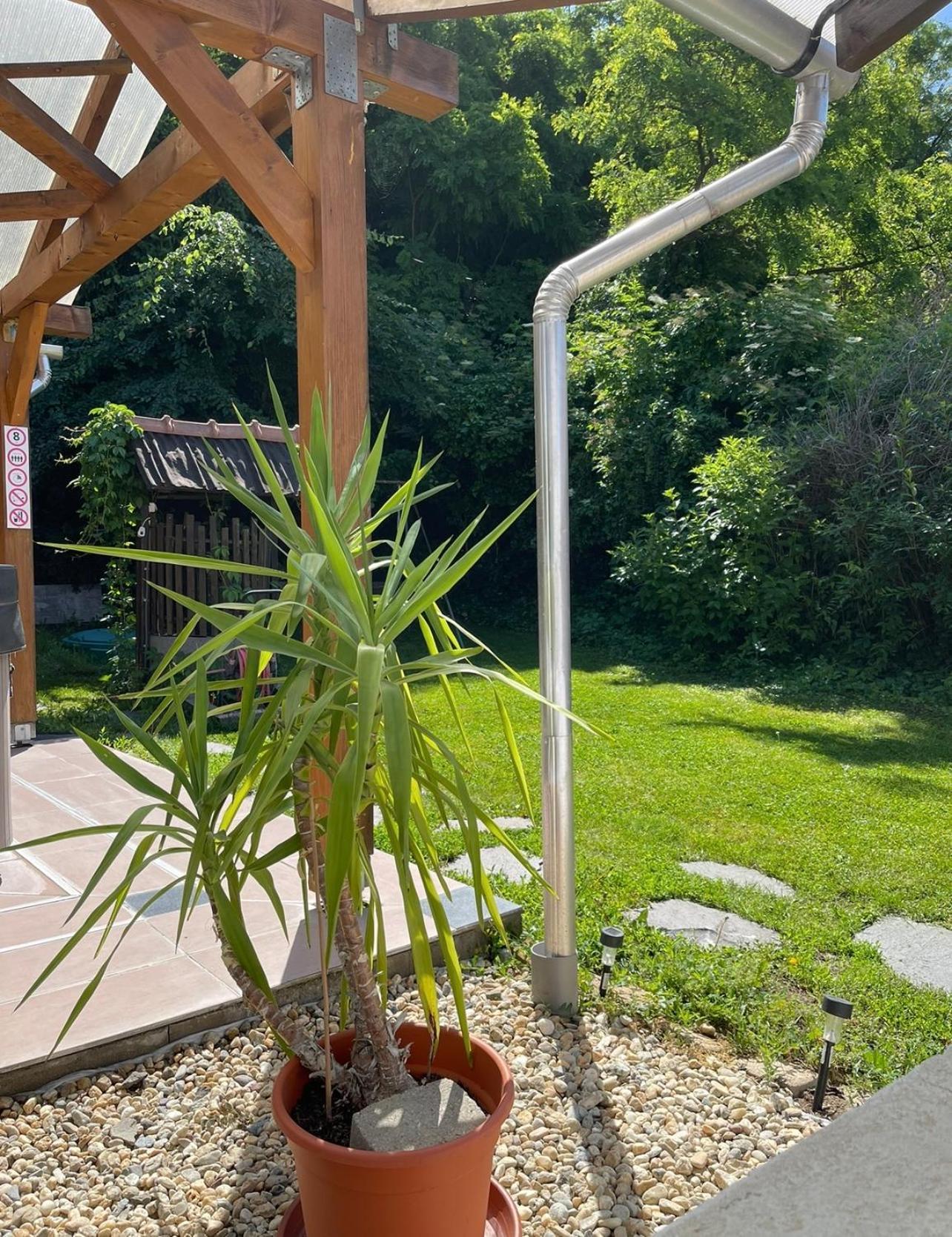 Panni Vendeghaz Otel Egerszalók Dış mekan fotoğraf